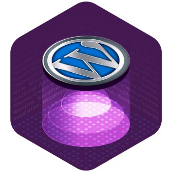 Wordpress Migration Service of Wp-Cube