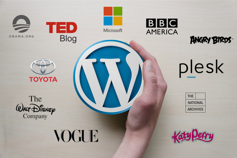 WordPress Design, Development & Support Services - WordPress Cube